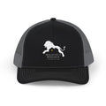 Lion Logo - Embroidered Richardson Snapback Hat