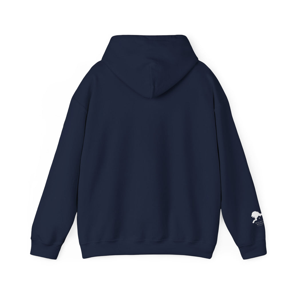 Mold Illness Is Real — Awareness Hoodie