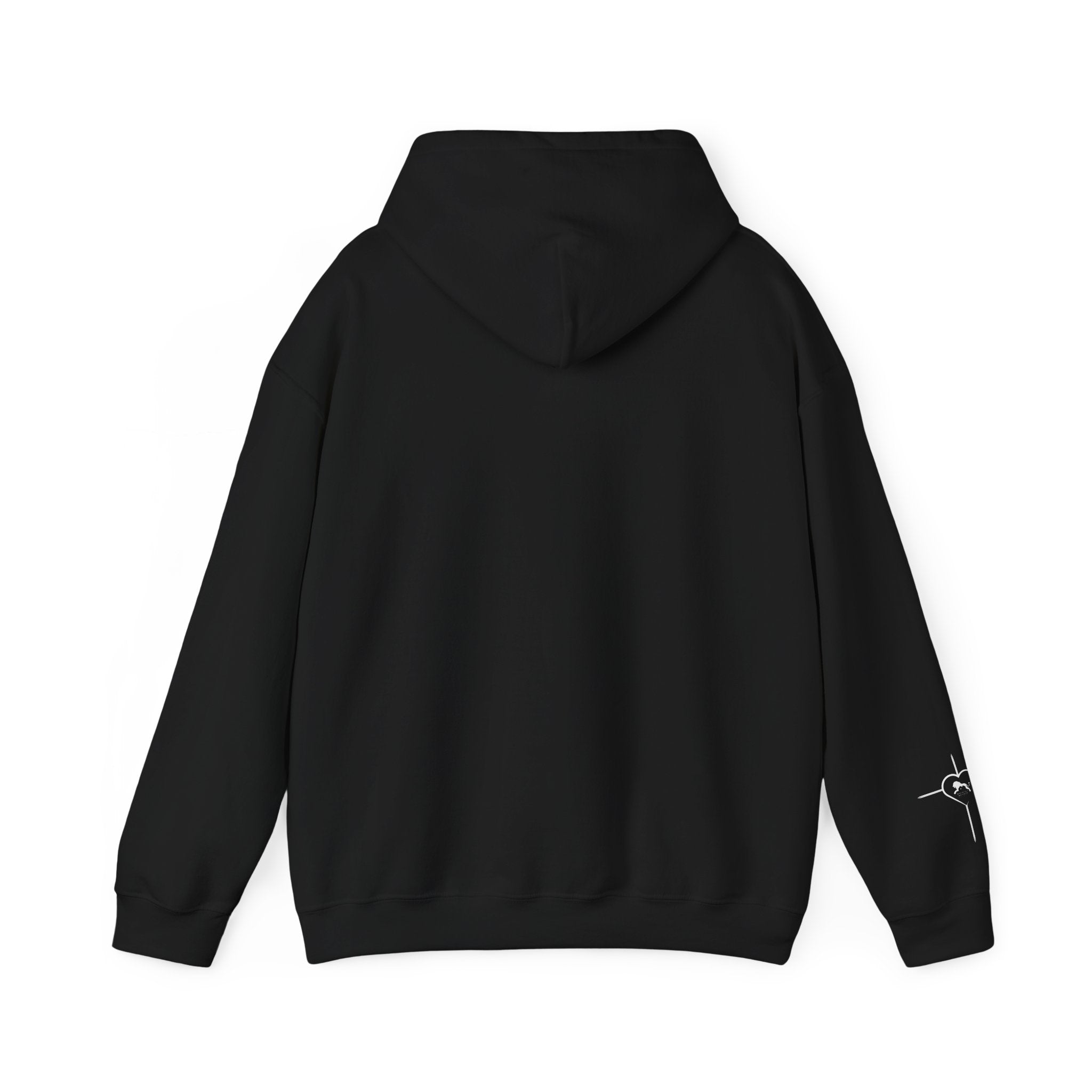God Warned Us — Leviticus Hoodie