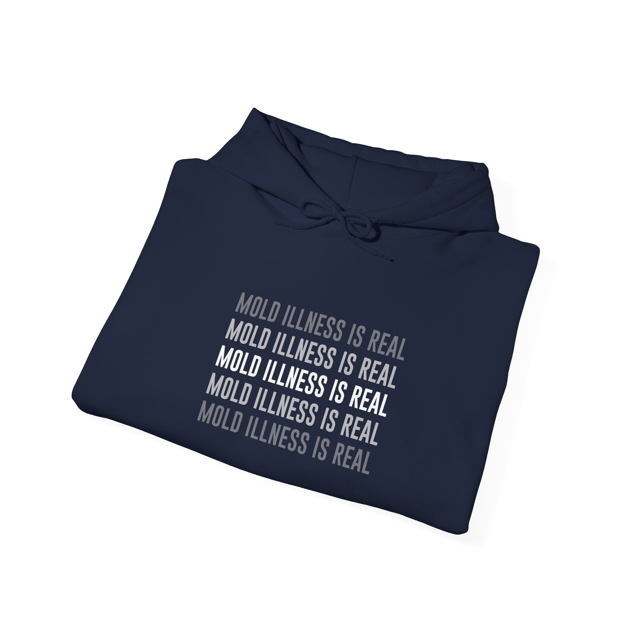Mold Illness Is Real — Awareness Hoodie