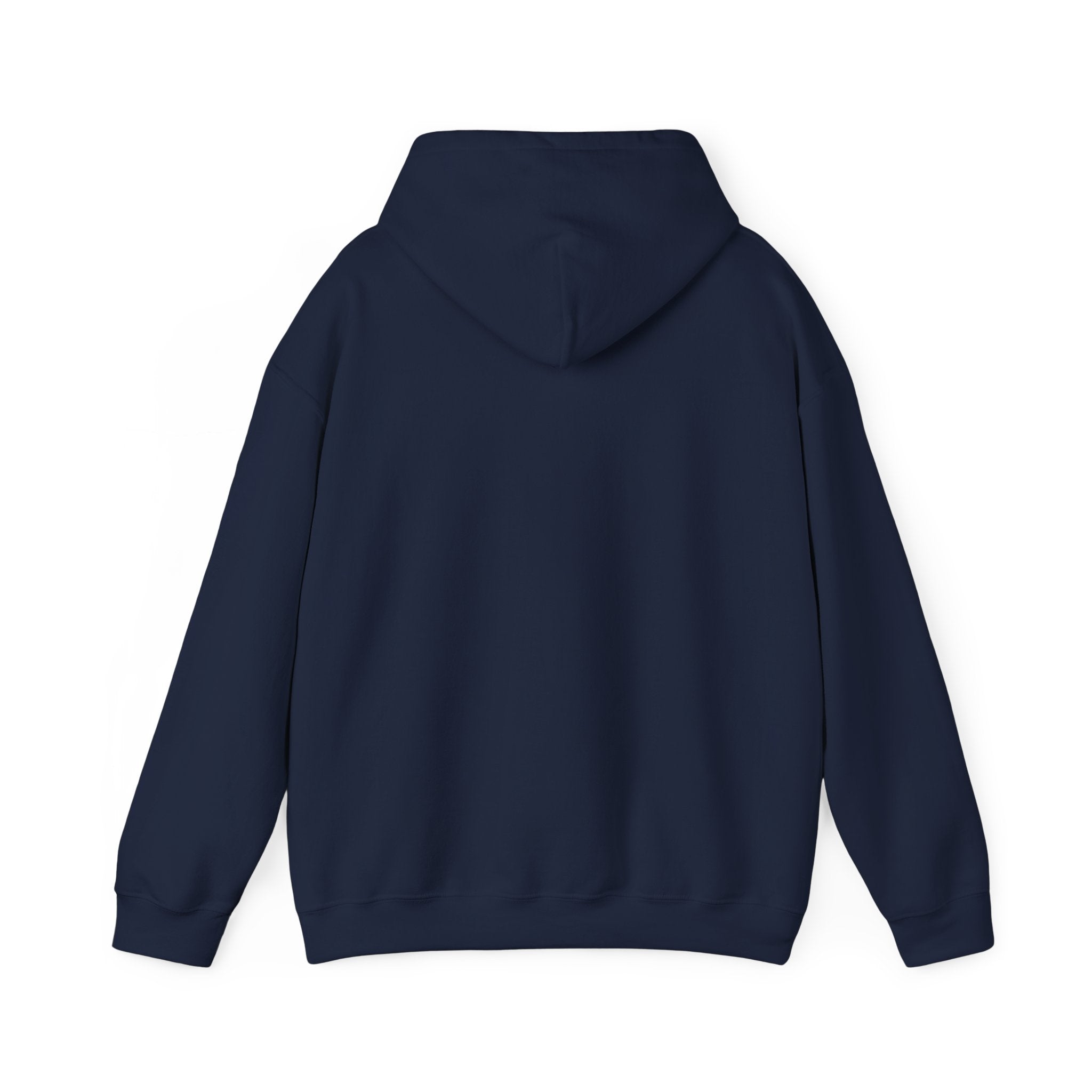 Toxic Mold Awareness Hoodie