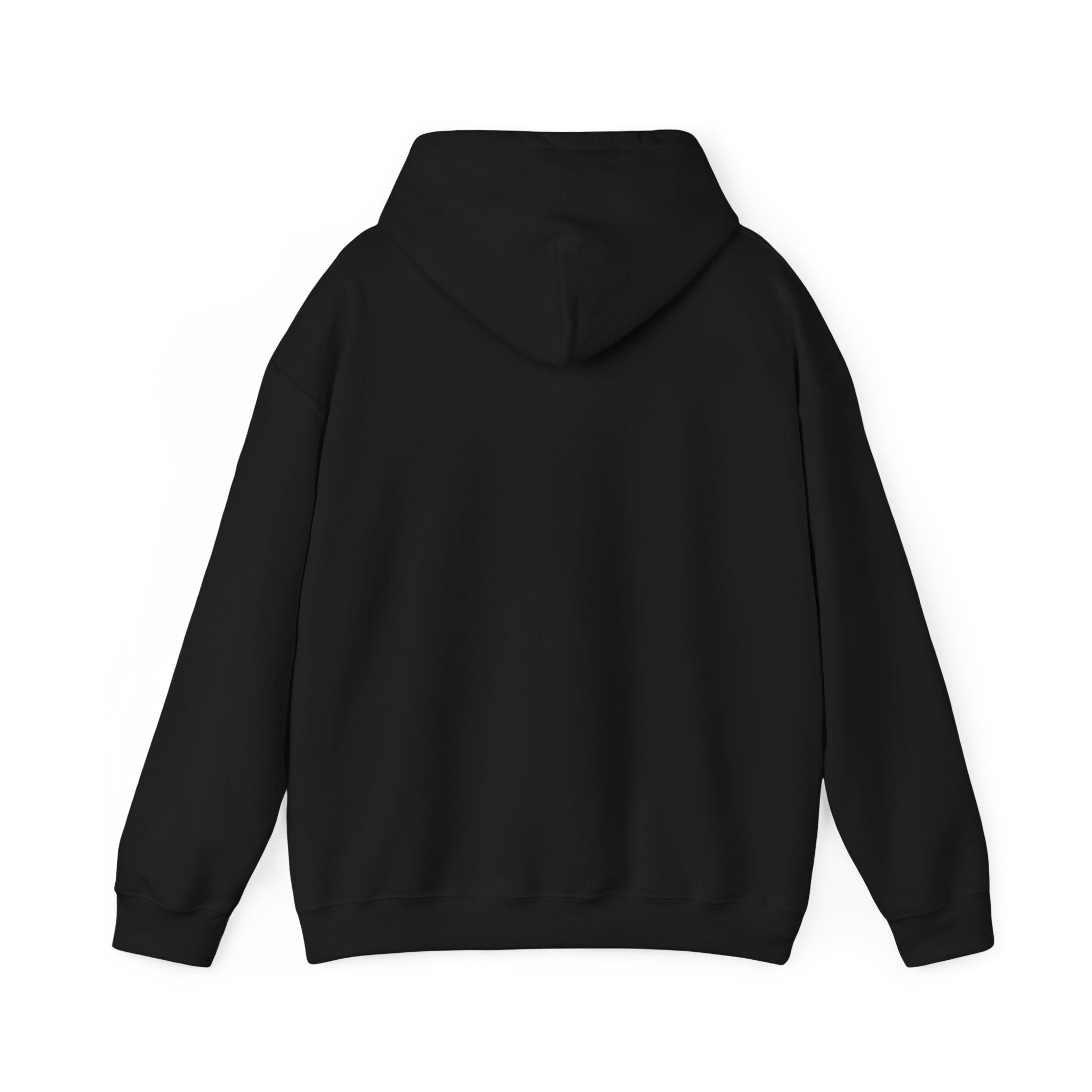Toxic Mold Awareness Hoodie
