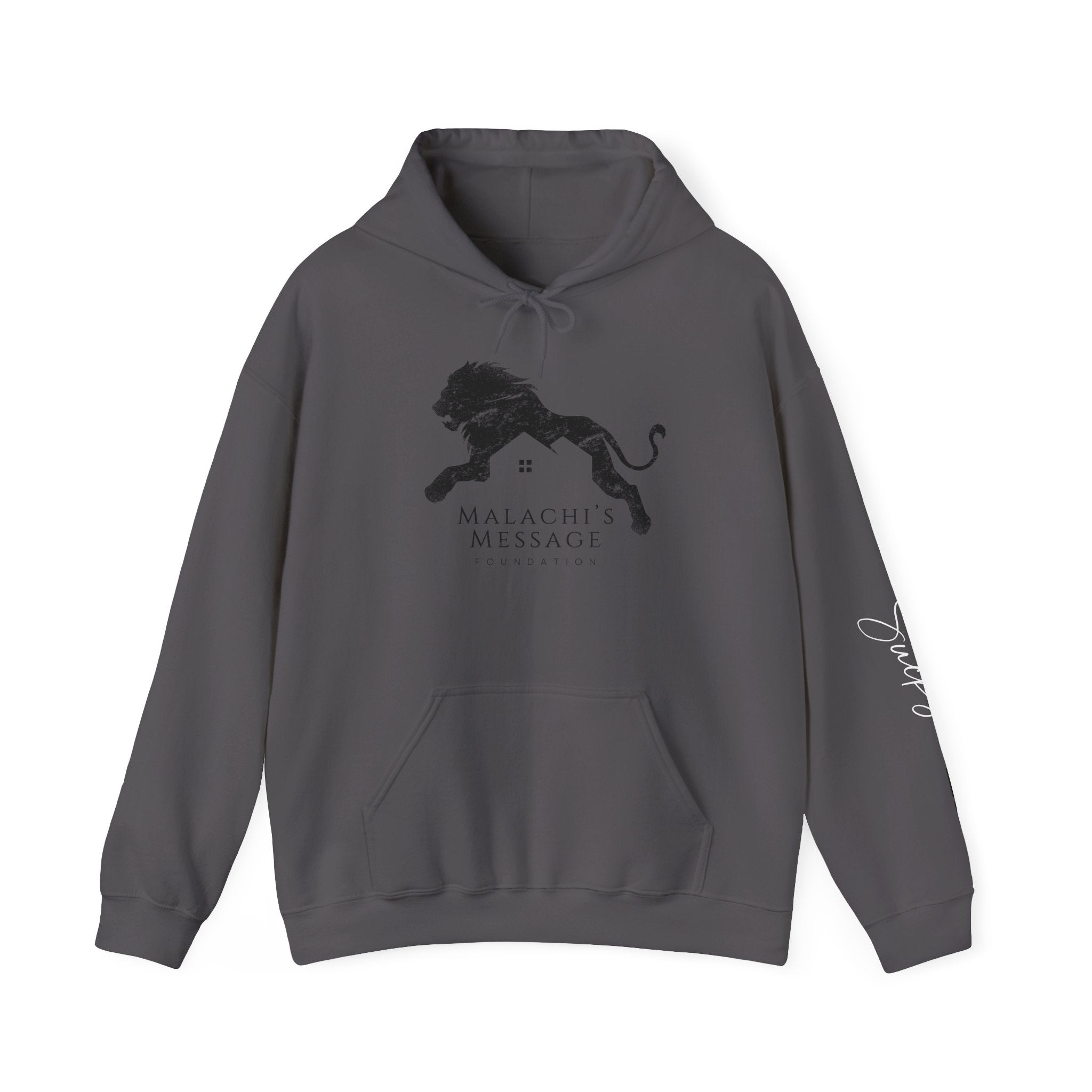 Lion Logo Hoodie — Vintage Fade