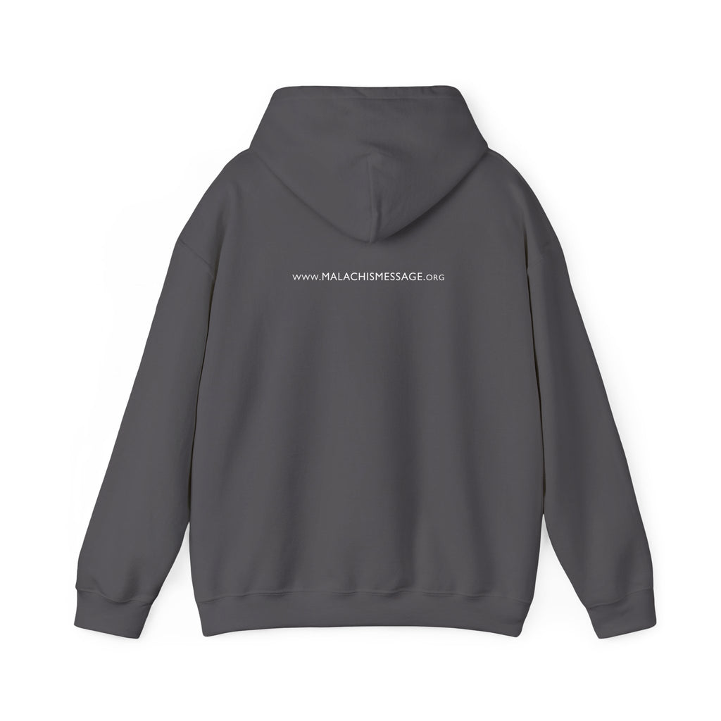 Toxic Mold Sucks Hoodie